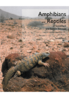 Amphibians and reptiles of Somaliland and Eastern Ethiopia
