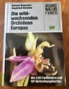 Die wildwachsenden Orchideen Europas