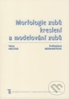 Morfologie zubů