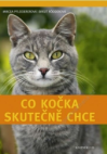 Co kočka skutečně chce