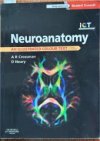 Neuroanatomy