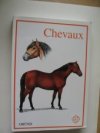 Chevaux