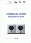 Dynamic behaviour of cavitation bubbles generated by laser