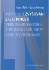 Možnosti zvyšování efektivnosti veřejného sektoru v podmínkách krize veřejných financí