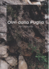 Olivi dalla Puglia