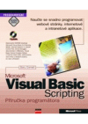 Microsoft visual basic scripting