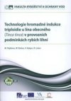 Technologie hromadné indukce triploidie u lína obecného (Tinca tinca) v provozních podmínkách rybích líhní