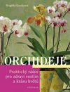 Orchideje