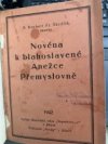 Novéna k blahoslavené Anežce Přemyslovně