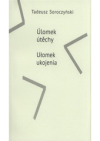 Úlomek útěchy =