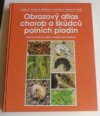 Obrazový atlas chorob a škůdců polních plodin