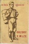 Obzory v mlze