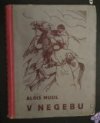 V Negebu