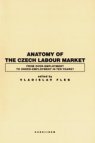 Anatomy of the Czech labour market from over-employment to under-employment in ten years?