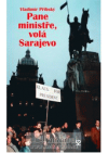 Pane ministře, volá Sarajevo
