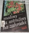 Maliny a ostružiny na zahrádce