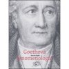 Goethova fenomenologie