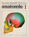 Anatomie