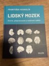 Lidský mozek