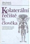 Kolaterální řečiště u člověka