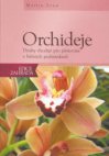 Orchideje