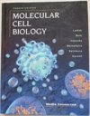 Molecular Cell Biology