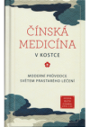 Čínská medicína v kostce