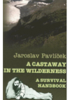 A castaway in the wilderness