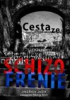 Cesta ze schizofrenie