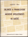 Bilance a financování akciové společnosti ve světě