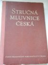 Stručná mluvnice česká pro školy všeobecně vzdělávací a pedagogické