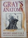 Gray’s Anatomy