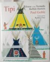 Tipi