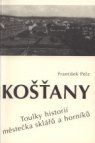 Košťany