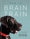 How to brain train your dog