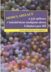 Modularizace a její aplikace v bakalářském studijním oboru Učitelství pro MŠ