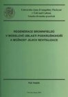 Regenerace brownfieldů v modelové oblasti Podkrušnohoří a možnost jejich revitalizace