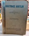 Anatomie rostlin