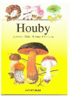 Houby