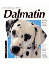 Dalmatin