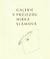 Galerie v průjezdu