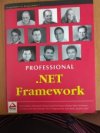 Professional.NET Framework